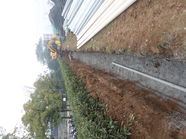 ������·